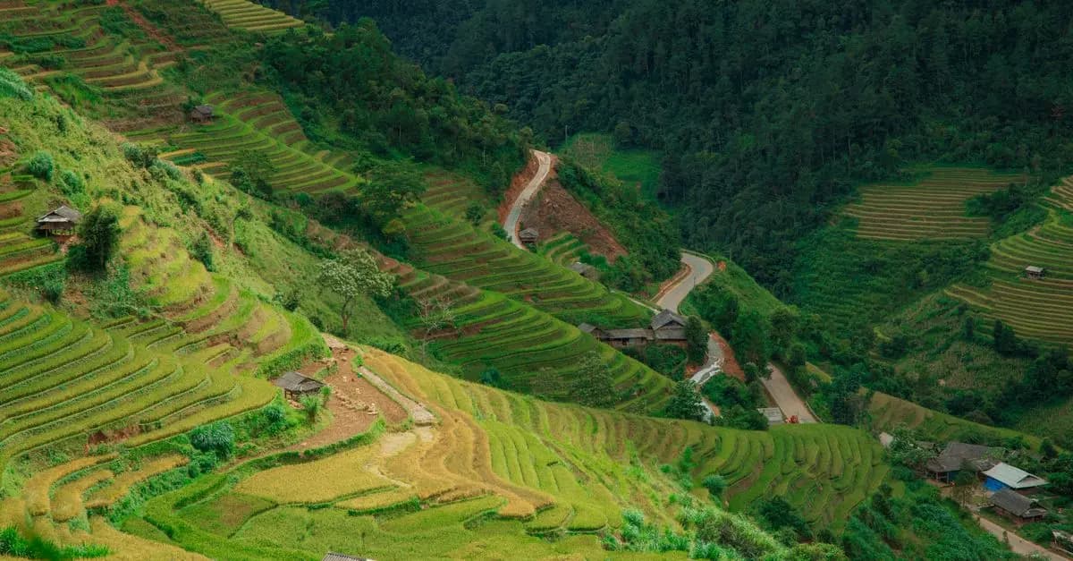 L'impact environnemental de la consommation de viande