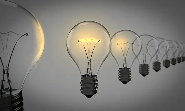 Tendances 2026 : Quelles Viandes Privilégier au Quotidien ?